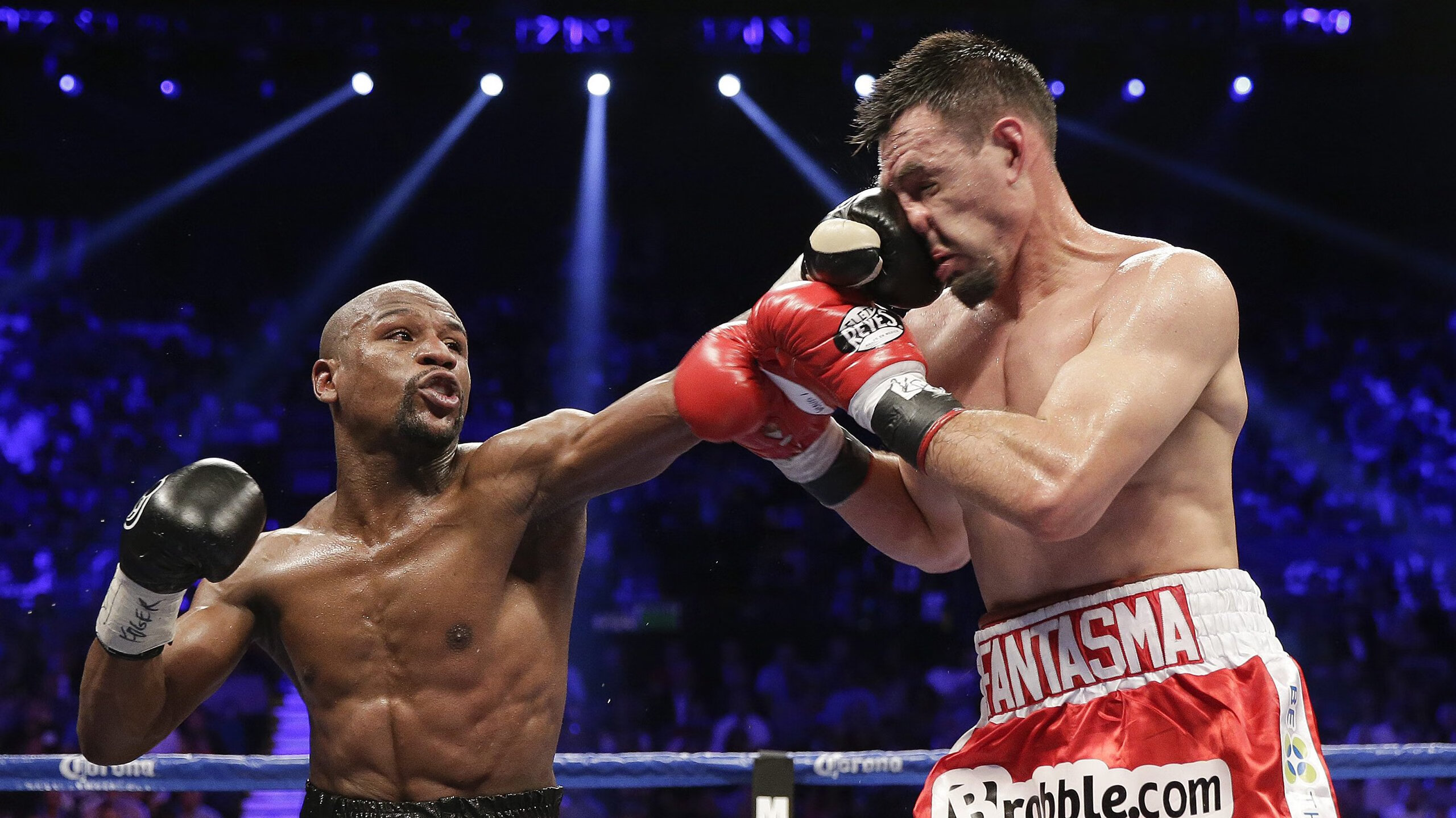 kaiyun登录入口-“美洲狮队进军橄榄球冠军赛决赛，世界橄榄球格局或将改变”